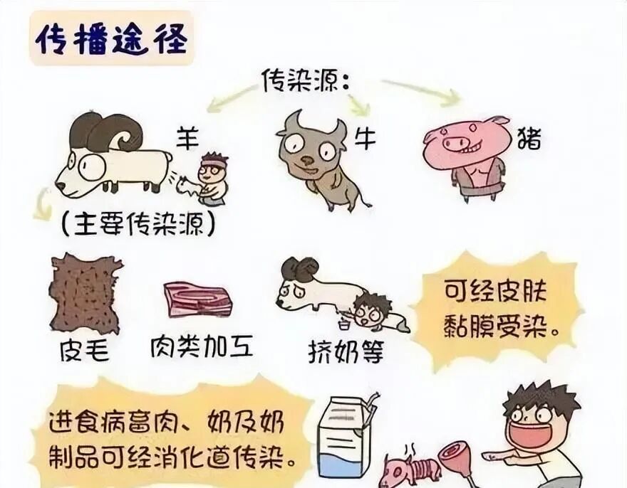 a9f599155fa80736fa6b2c9e14c22104